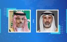 وزير الخارجية يبحث هاتفيا مع نظيره السعودي التطورات بالمنطقة