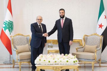 مشاورات بين دمشق وبيروت قبل مفاوضات لبنانية - إسرائيلية