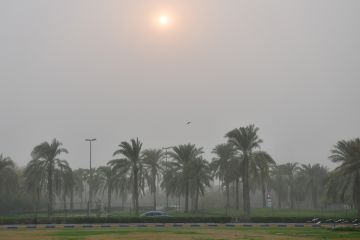 العجيري العلمي : دخول الفترة الثانية من موسم الكنة ابتداء من الغد العجيري العلمي : دخول الفترة الثانية من موسم الكنة ابتداء من الغد