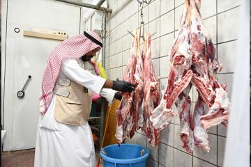 الغذاء للمستهلكين: تجنبوا الذبح العشوائي وتوجهوا إلى المسالخ المعتمدة الغذاء للمستهلكين: تجنبوا الذبح العشوائي وتوجهوا إلى المسالخ المعتمدة