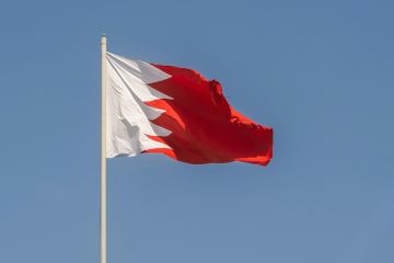 البحرين: السجن المؤبد لـ9 متهمين أدينوا بالتخابر مع الحرس الثوري البحرين: السجن المؤبد لـ9 متهمين أدينوا بالتخابر مع الحرس الثوري