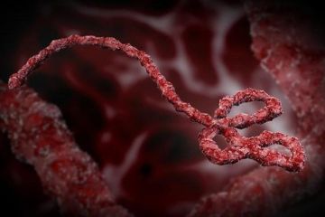 الكونغو.. 671 حالة إيبولا مشتبه بها و160حالة وفاة الكونغو.. 671 حالة إيبولا مشتبه بها و160حالة وفاة