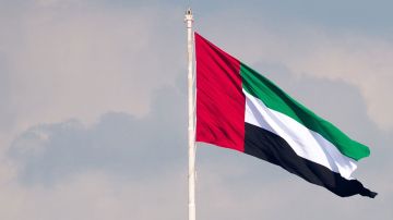 الإمارات تنفي نقل أو تحويل أي مبالغ مالية إلى إيران الإمارات تنفي نقل أو تحويل أي مبالغ مالية إلى إيران