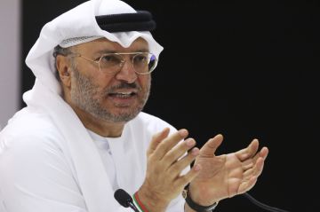 قرقاش: الاتفاق الإطاري بين لبنان وإسرائيل خطوة مهمة نحو استعادة لبنان سيادته على أرضه