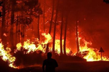 إسبانيا تجلي سكان 12 قرية بسبب حريق غابات قرب الحدود البرتغالية إسبانيا تجلي سكان 12 قرية بسبب حريق غابات قرب الحدود البرتغالية