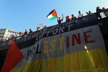بلجيكا تحظر استيراد منتجات المستوطنات الإسرائيلية بلجيكا تحظر استيراد منتجات المستوطنات الإسرائيلية