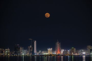 بدر الغزال بدر الغزال