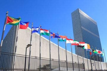 الأمم المتحدة تندد بتصنيف أمريكا لحركة فلسطين أكشن منظمة إرهابية الأمم المتحدة تندد بتصنيف أمريكا لحركة فلسطين أكشن منظمة إرهابية