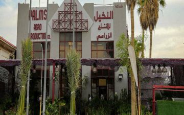 هبوط الأرباح الفصلية لـ النخيل يضغط على النتائج النصفية هبوط الأرباح الفصلية لـ النخيل يضغط على النتائج النصفية