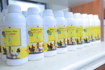 الصحة تنظم تداول الأدوية البيطرية الوصفية وفق مفهوم الصحة الواحدة One Health الصحة تنظم تداول الأدوية البيطرية الوصفية وفق مفهوم الصحة الواحدة One Health