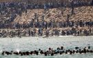 المغرب يعلن في حصيلة رسمية أولى وفاة 11 مهاجرا في طريقهم إلى سبتة