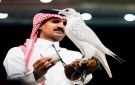 أغلى صقر في المزاد الدولي لمزارع إنتاج الصقور في السعودية يباع بـ1.3 مليون ريال