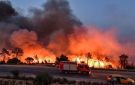 الجزائر: مقتل 12 شخصا وإصابة آخرين في حرائق غابات