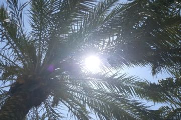 طقس اليوم.. حار ورطب نسبيا والعظمى 44 درجة طقس اليوم.. حار ورطب نسبيا والعظمى 44 درجة