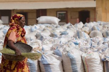 جوال الحبوب بمليون جنيه في السودان! جوال الحبوب بمليون جنيه في السودان!