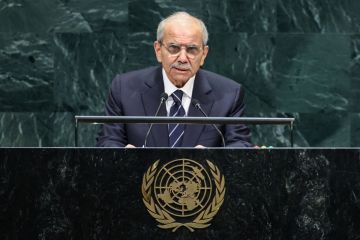 سلام: لا أحد يتحدث أو يفاوض باسم لبنان سوى الدولة اللبنانية سلام: لا أحد يتحدث أو يفاوض باسم لبنان سوى الدولة اللبنانية