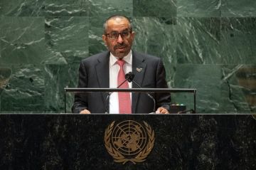 الإمارات تؤكد ضرورة حماية حرية الملاحة وتأمين تدفق التجارة والطاقة