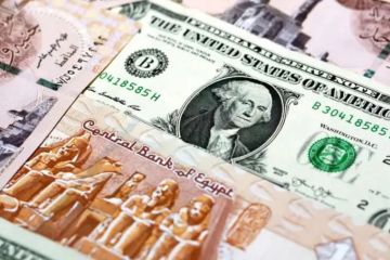 ارتفاع جديد لسعر الدولار في مصر ارتفاع جديد لسعر الدولار في مصر