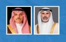 وزير الخارجية يبحث هاتفيا مع نظيره السعودي آخر التطورات الإقليمية