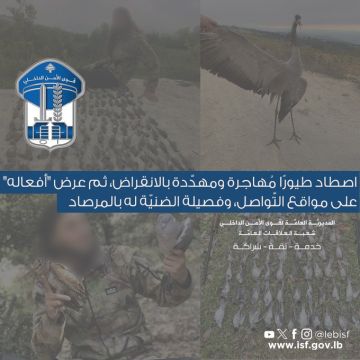 اصطاد طيورا مهاجرة ومهددة بالانقراض وعرض أفعاله على مواقع التواصل اصطاد طيورا مهاجرة ومهددة بالانقراض وعرض أفعاله على مواقع التواصل