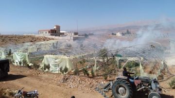 بالصور: الجيش يتلف مساحة مزروعة بالماريجوانا بالصور: الجيش يتلف مساحة مزروعة بالماريجوانا