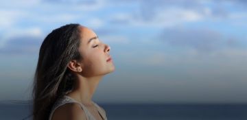 هكذا يصل تلوث الهواء إلى القلب والدماغ