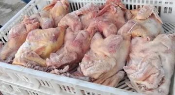 وزارة الصحة تقفل محلا لبيع الدجاج في برج الشمالي لعدم استيفائه شروط السلامة العامة وزارة الصحة تقفل محلا لبيع الدجاج في برج الشمالي لعدم استيفائه شروط السلامة العامة
