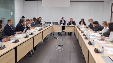 الصدي بحث مع منظمات دولية واقع قطاع الكهرباء في لبنان