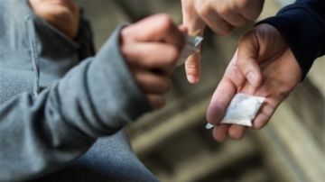 دولارات للإتجار... ومخدرات عن كل يوم عمل دولارات للإتجار... ومخدرات عن كل يوم عمل