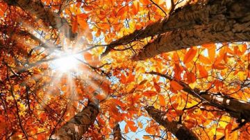 ارتفاع بدرجات الحرارة... إليكم تفاصيل طقس الـWeekend ارتفاع بدرجات الحرارة... إليكم تفاصيل طقس الـWeekend