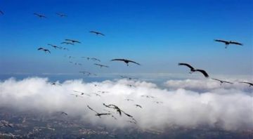 الحرارة تتخطى معدلاتها.. طقس خريفي مستقر!