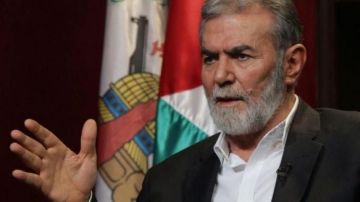 النخالة: نخوض أقسى معركة ولن نستسلم.. والمقاومة جاهزة للتفاوض على قاعدة تبادل الأسرى النخالة: نخوض أقسى معركة ولن نستسلم.. والمقاومة جاهزة للتفاوض على قاعدة تبادل الأسرى