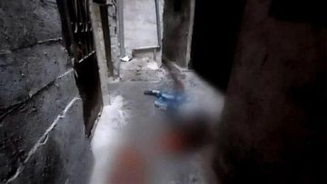 بعد الجريمة المروعة .. توتر داخل مخيم شاتيلا! بعد الجريمة المروعة .. توتر داخل مخيم شاتيلا!