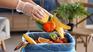 نشاط في بيروت للتوعية ضد هدر الطعام ومحاربة الجوع نشاط في بيروت للتوعية ضد هدر الطعام ومحاربة الجوع