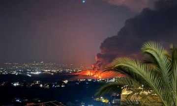 أدرعي: جيش الدفاع هاجم بنى تحتية لحزب الله وجمعية أخضر بلا حدود في جنوب لبنان
