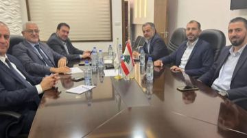 الاعتدال الوطني: لإجراء الانتخابات في موعدها