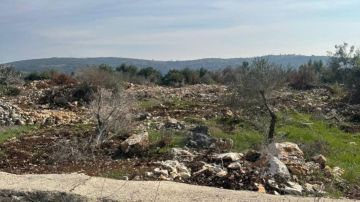 بيان من بلدية حولا للأهالي عن قطاف الزيتون