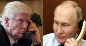 مكالمة بناءة بين ترامب وبوتين.. وهذا ما إتفق عليه مكالمة بناءة بين ترامب وبوتين.. وهذا ما إتفق عليه