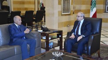 ماذا دار في اللقاء بين سلام وأبو الغيط؟ ماذا دار في اللقاء بين سلام وأبو الغيط؟