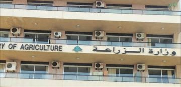 وزارة الزراعة أطلقت بالتعاون مع الفاو مشروع تعزيز مرونة قطاعي المياه والغذاء وزارة الزراعة أطلقت بالتعاون مع الفاو مشروع تعزيز مرونة قطاعي المياه والغذاء