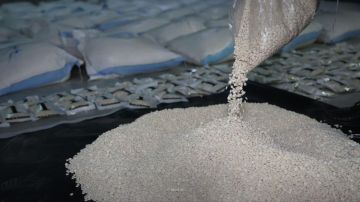 بالصور: 11 مليون حبة كبتاغون من لبنان إلى سوريا!