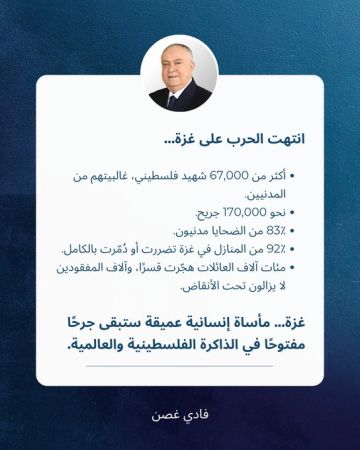 فادي غصن: غزة مأساة إنسانية عميقة ستبقى جرحا مفتوحا في الذاكرة