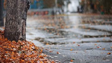 أجواء خريفية بانتظارنا... ماذا عن درجات الحرارة؟