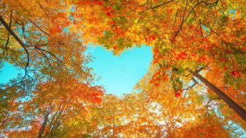 الحرارة فوق معدلاتها.. اعتبارا من هذا التاريخ