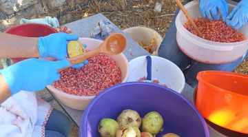 موسم المونة في الجبال.. تقاليد موروثة واكتفاء ذاتي!