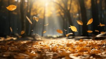 طقس تشرين محير... بين الأمطار والاستقرار