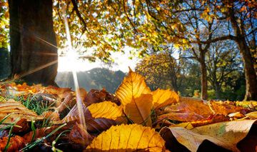 الطقس غدا صاف مع ارتفاع إضافي في الحرارة