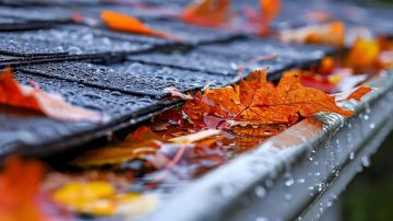 أمطار خريفية خجولة... فإلى متى؟