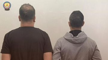 شبكة تزوير وتهريب سوريين في قبضة أمن الدولة شبكة تزوير وتهريب سوريين في قبضة أمن الدولة