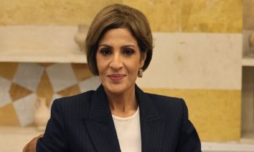 الزين: ملف حصرية السلاح يعرض باستفزاز